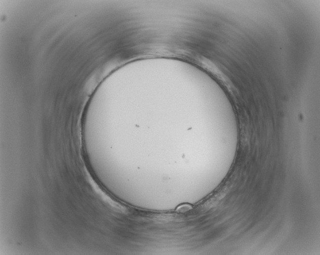 X0000072951479200608111613