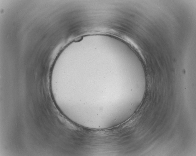 X0000072951480200608111613