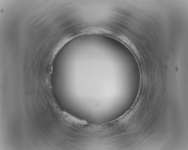 X0000072951481200608111613