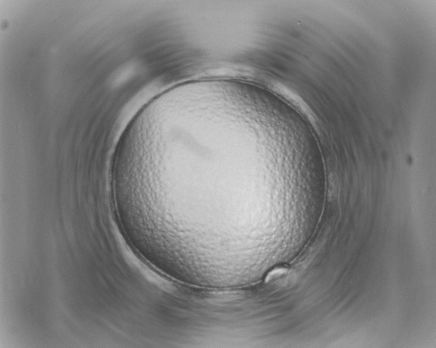 X0000072951483200608111613