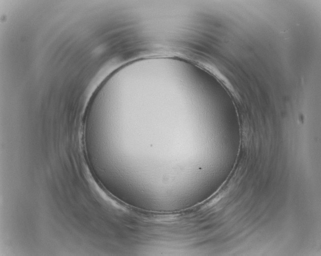 X0000072951484200608111613