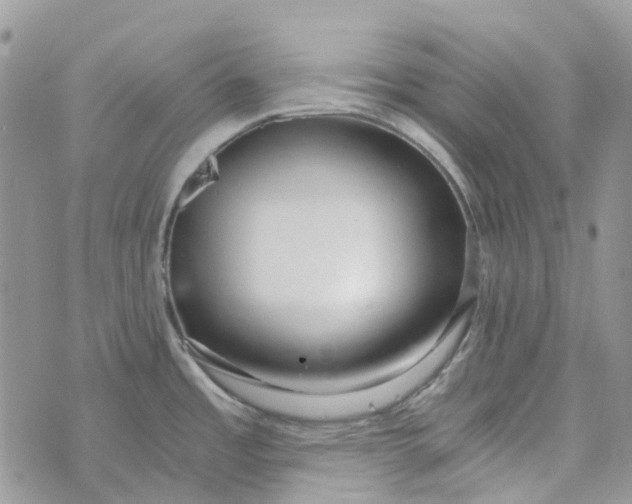 X0000072951485200608111613