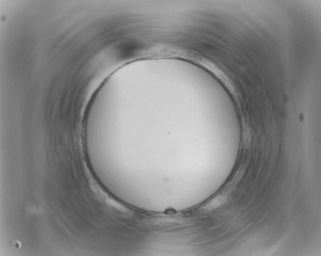 X0000072951486200608111613