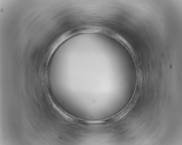 X0000072951487200608111613