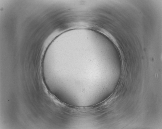 X0000072951488200608111613