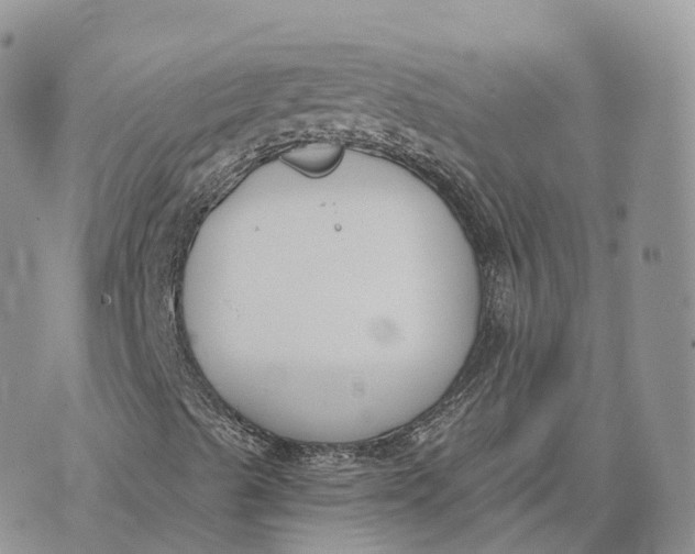 X0000072951489200608111612