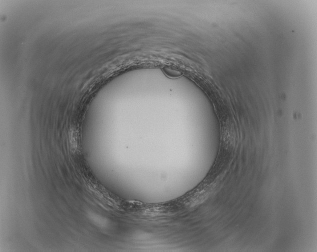 X0000072951490200608111612