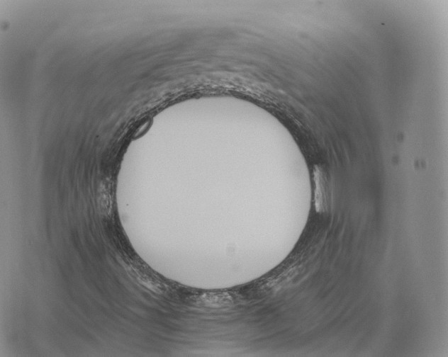 X0000072951491200608111612