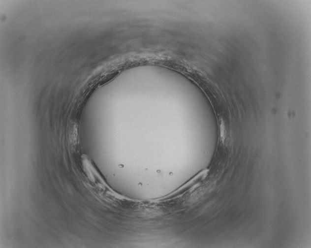 X0000072951492200608111612