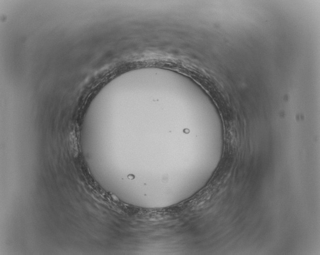 X0000072951493200608111612