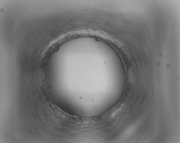 X0000072951494200608111612