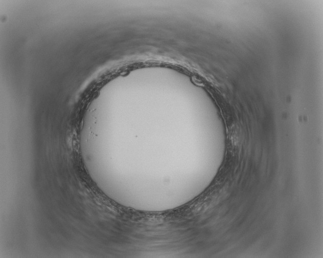 X0000072951495200608111612