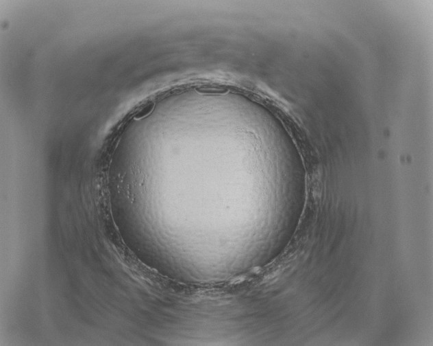 X0000072951496200608111612