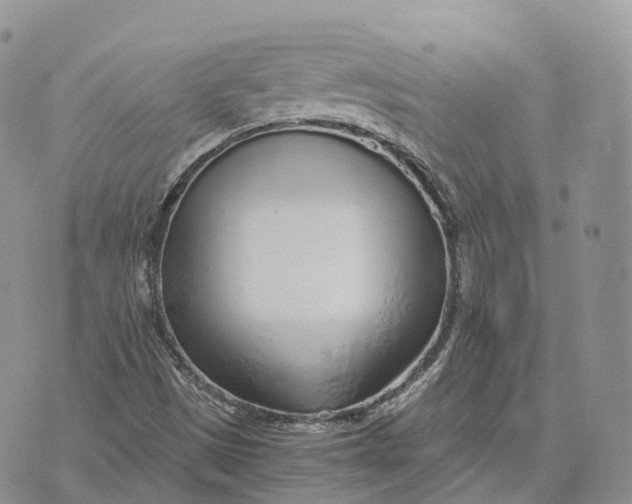 X0000072951497200608111612