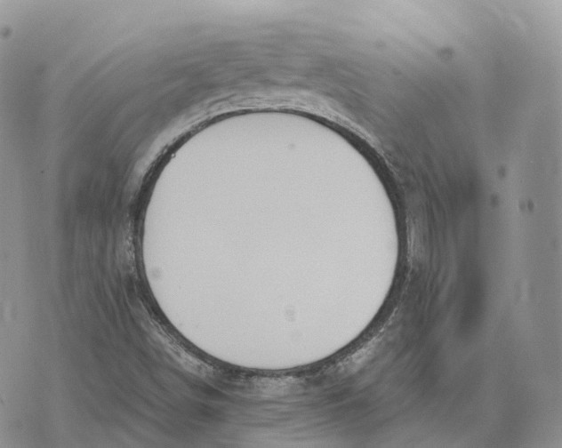 X0000072951498200608111612