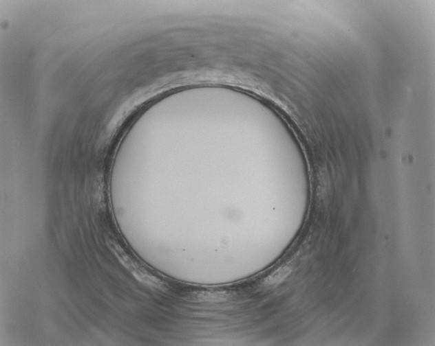 X0000072951499200608111612