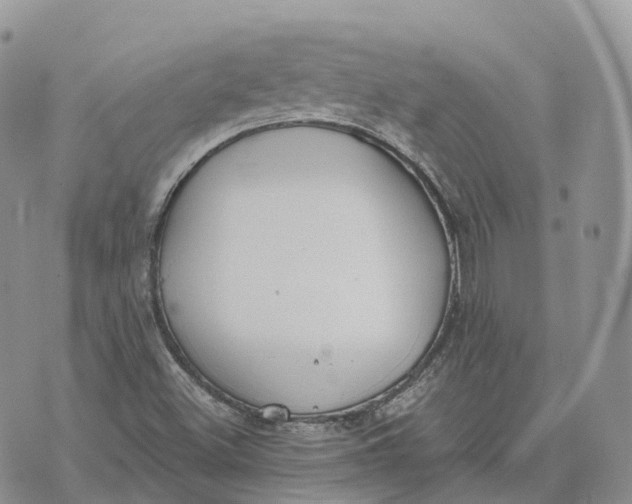 X0000072951500200608111612