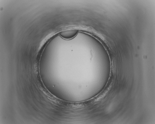 X0000072951501200608111612