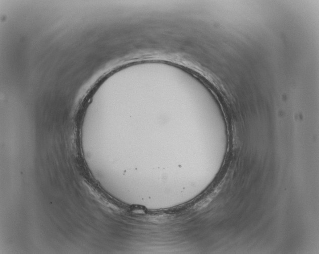 X0000072951502200608111612