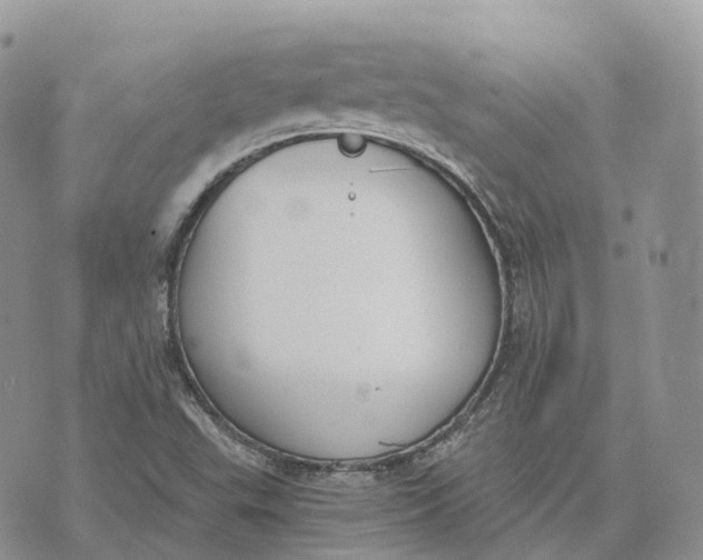 X0000072951503200608111612