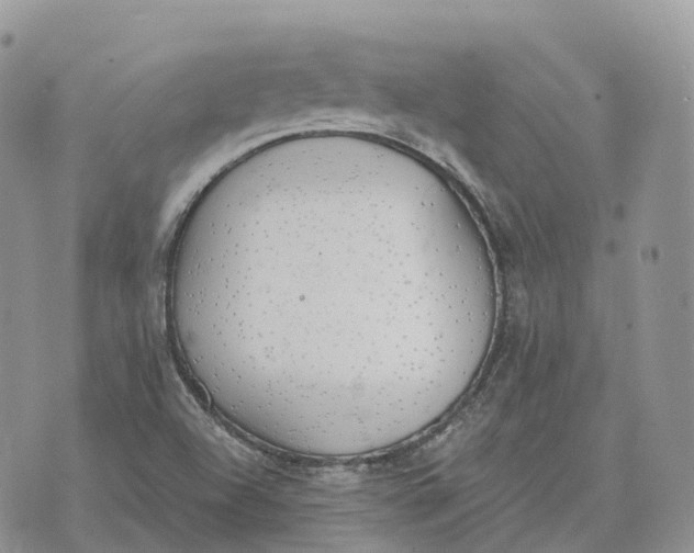 X0000072951504200608111612