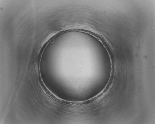 X0000072951505200608111612