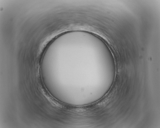 X0000072951507200608111612