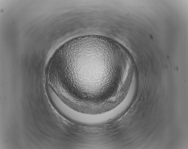 X0000072951508200608111612