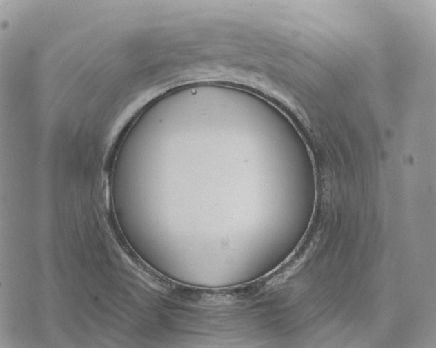 X0000072951509200608111612