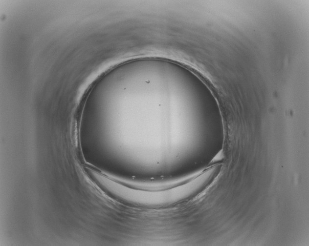 X0000072951510200608111612