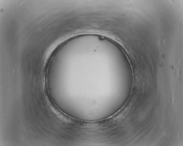 X0000072951511200608111612