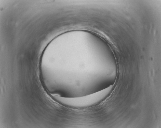 X0000072951512200608111612