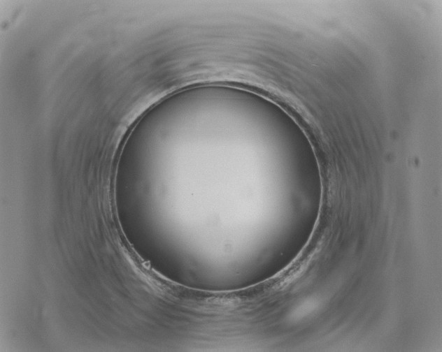 X0000072951513200608111612