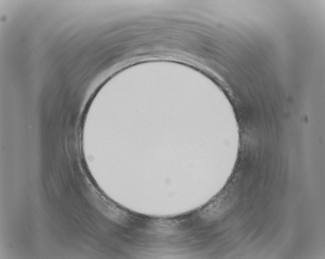 X0000072951514200608111612