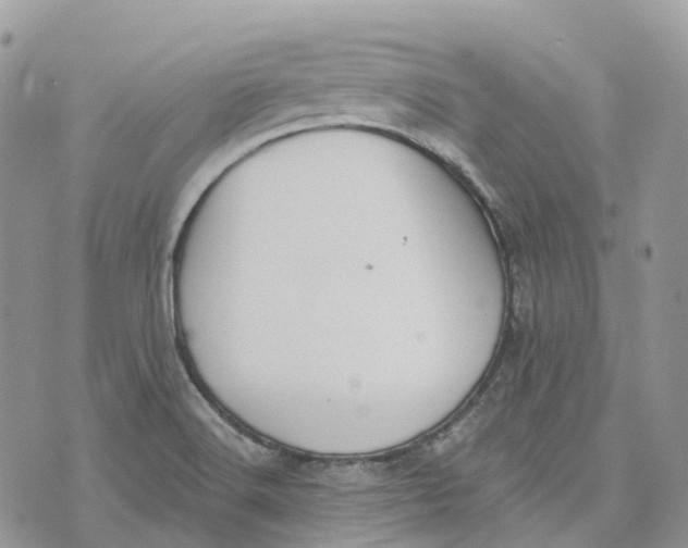 X0000072951516200608111612