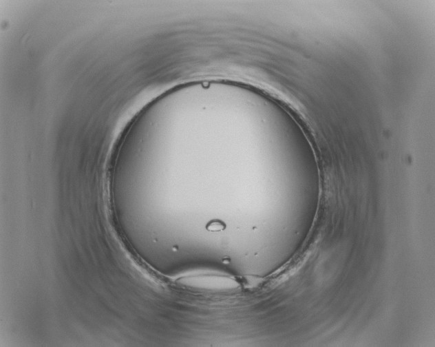 X0000072951517200608111613