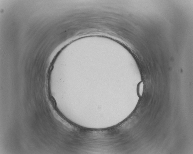 X0000072951518200608111613