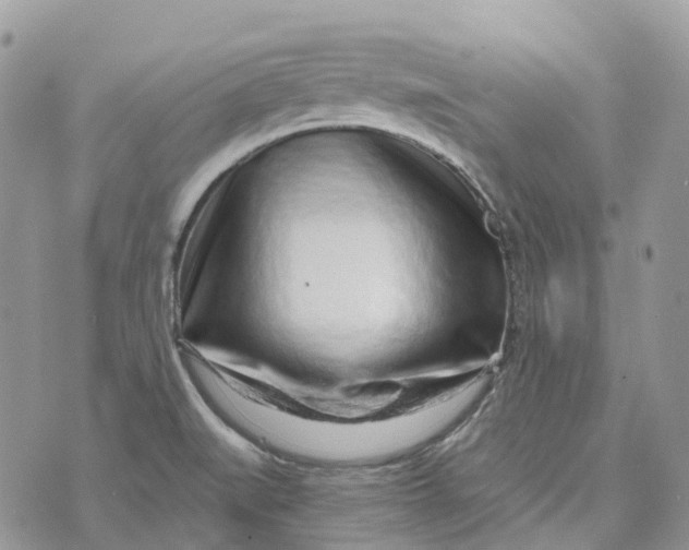 X0000072951519200608111613