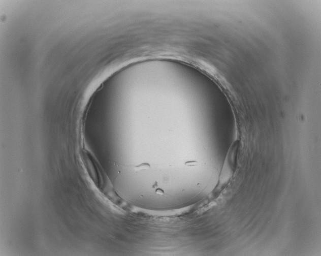 X0000072951520200608111613