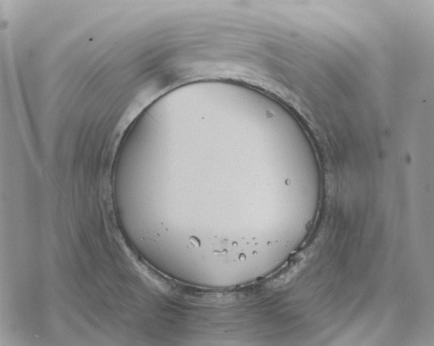 X0000072951521200608111613