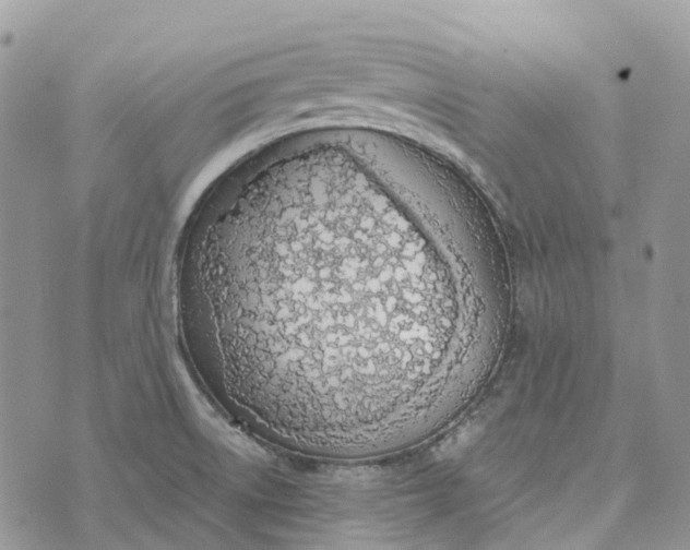 X0000072951522200608111613