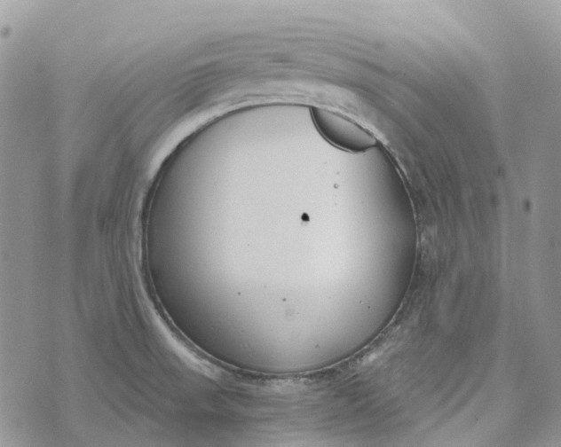 X0000072951523200608111613