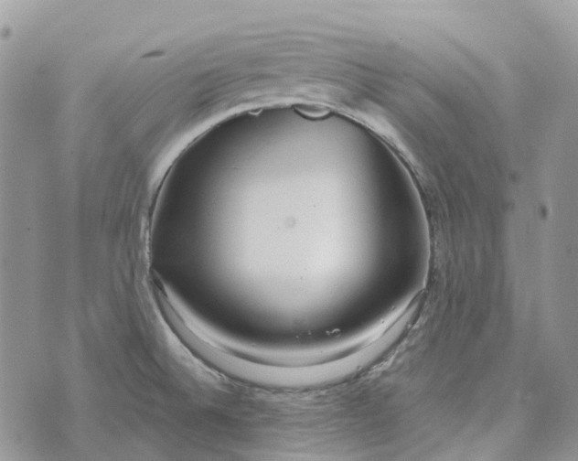 X0000072951524200608111613