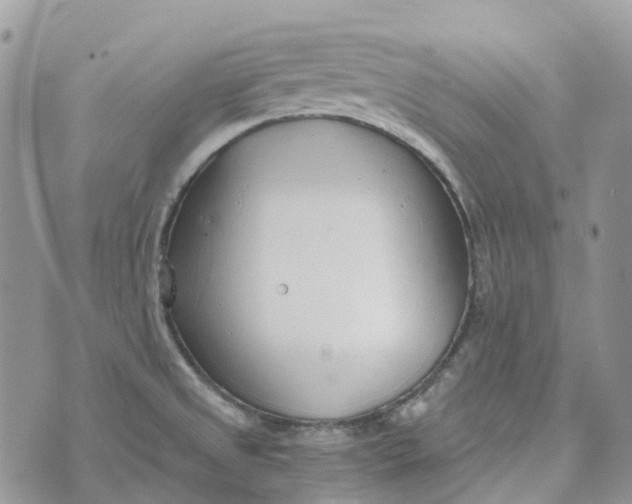 X0000072951525200608111613