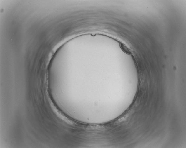 X0000072951526200608111613