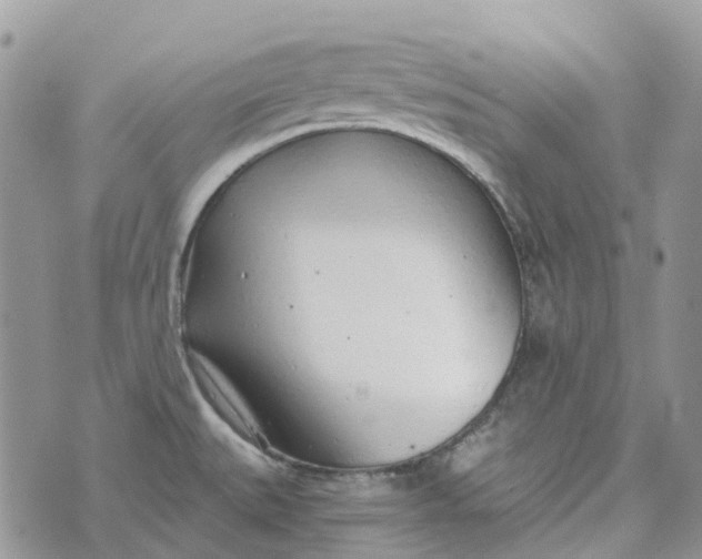 X0000072951527200608111613