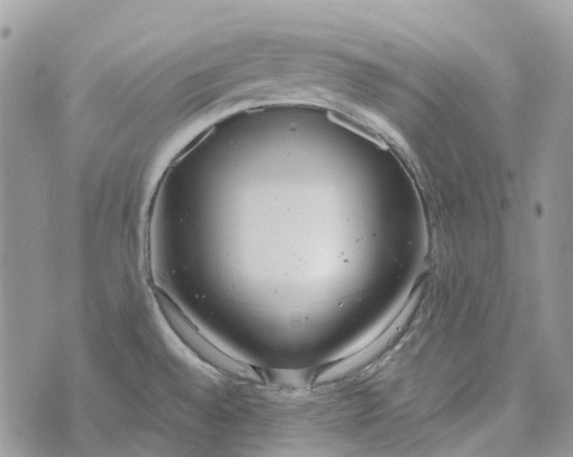 X0000072951528200608111613