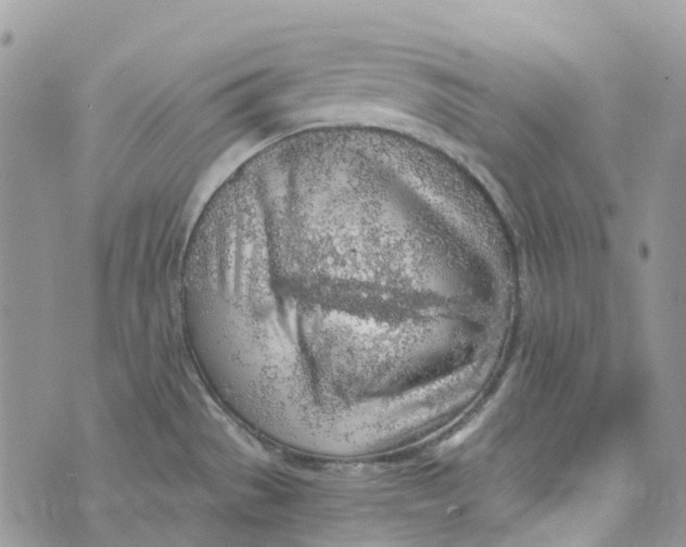 X0000072951529200608111613