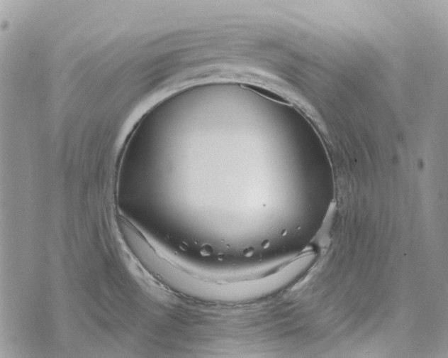 X0000072951530200608111613