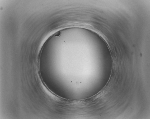 X0000072951531200608111613